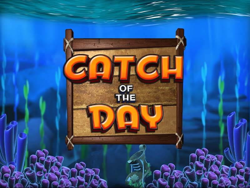Promoção Catch of the Day no KT Slots